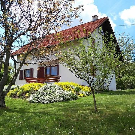 Guest House Kolic Dreznik Grad Exterior photo
