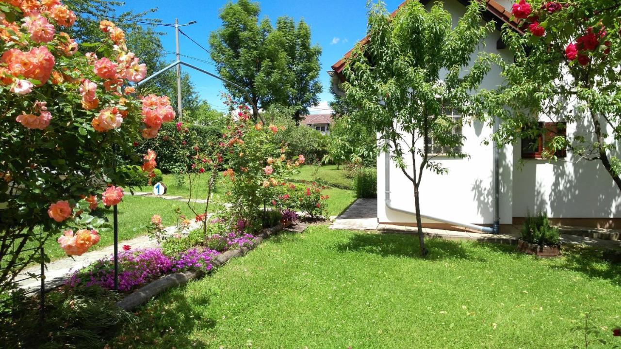 Guest House Kolic Dreznik Grad Exterior photo