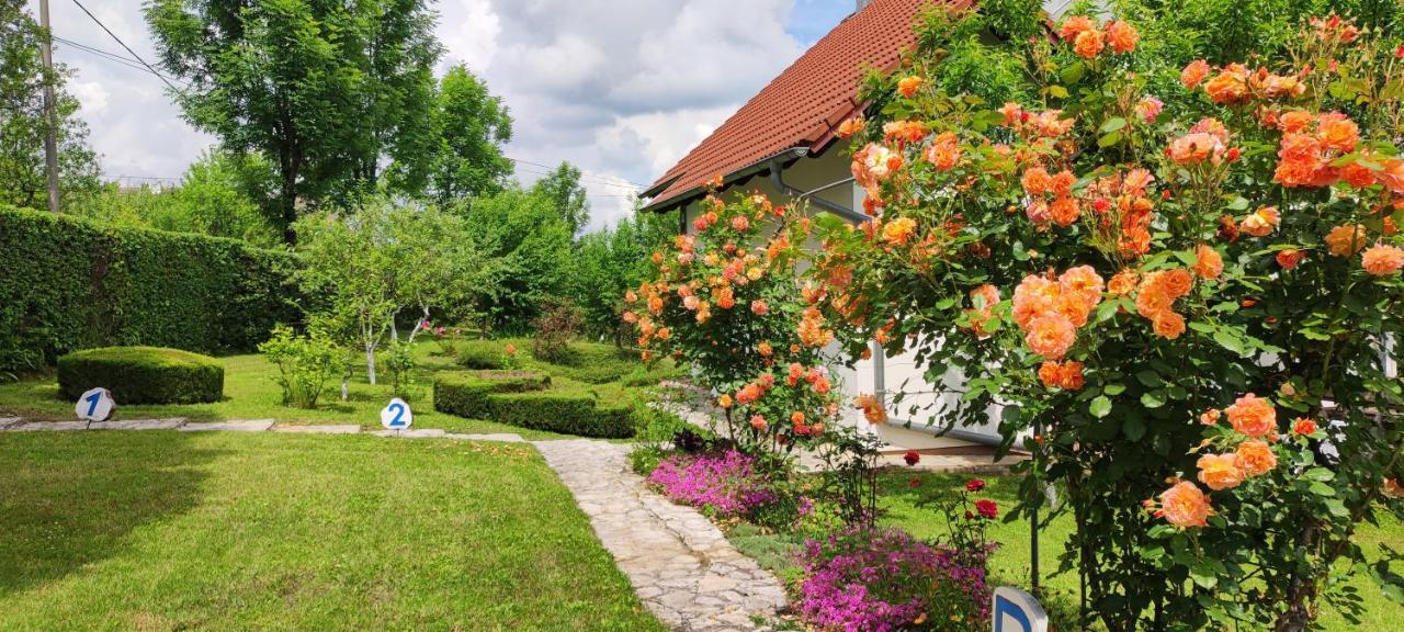Guest House Kolic Dreznik Grad Exterior photo