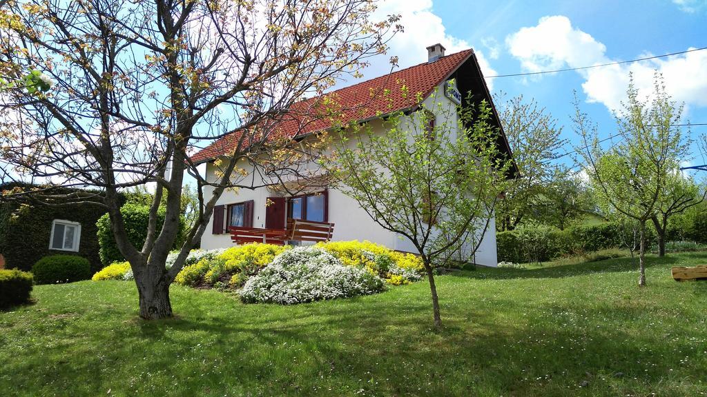 Guest House Kolic Dreznik Grad Exterior photo